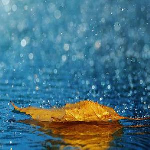 欧美老妇和小鲜肉A片
